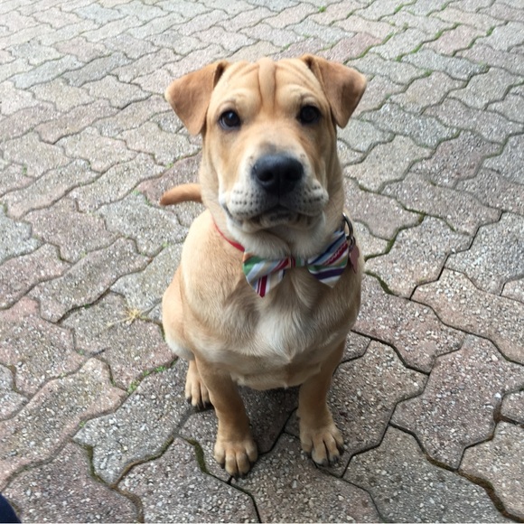 LIVE POP UP SHOWS! 🫶🏻🫶🏻 - Picture 4 of 8